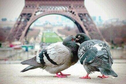 Beso en Paris, Francia